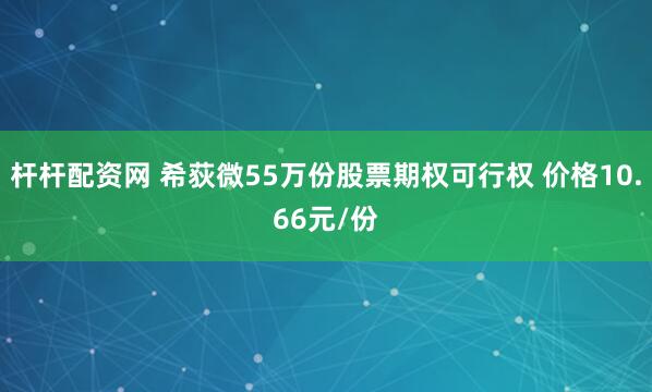 杆杆配资网 希荻微55万份股票期权可行权 价格10.66元/份